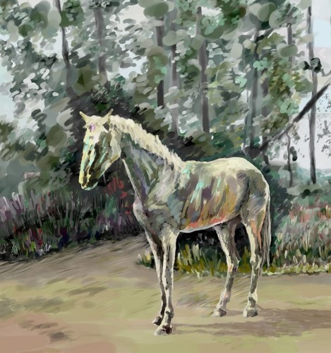 Ivan Shevchenkos Computer Graphics Gallery: White Horse