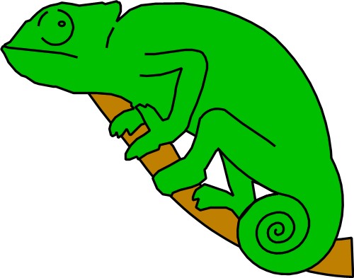Chameleon on a branch; Chameleon, Lizard