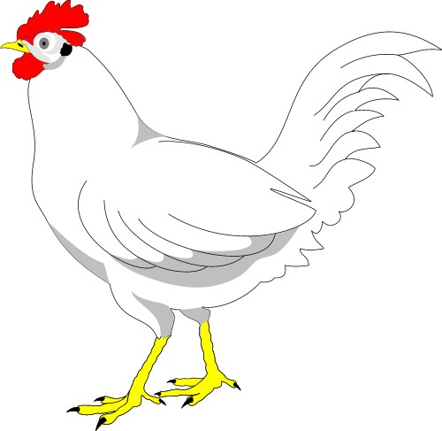 Chicken; Bird, Farm, Corel, Chicken