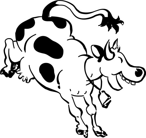 Animals: Cow