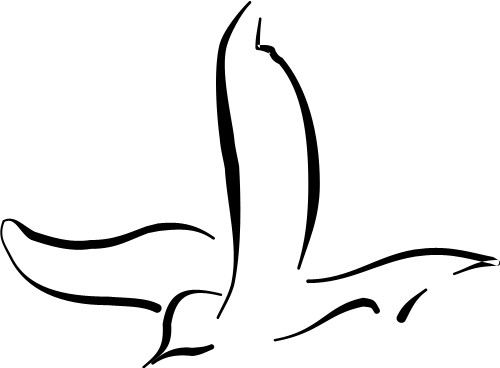 Dove outline; Peace, Fly