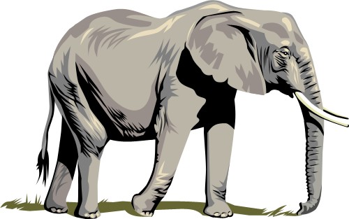 Слоник; Животное, Дикая жизнь, Слон