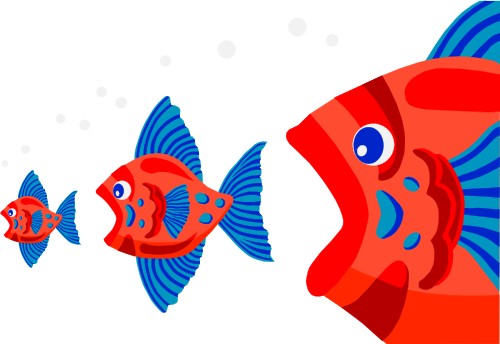 Animals: Big fish eating smaller fish eating tiny fish
