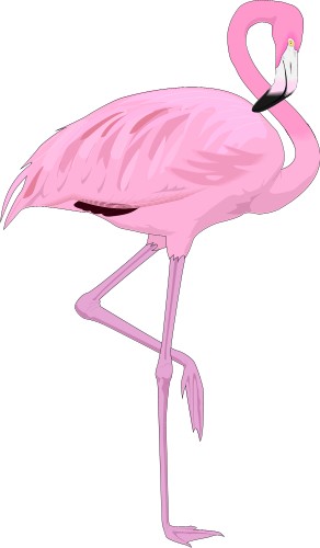 Flamingo; Bird, World, Totem, Flamingo