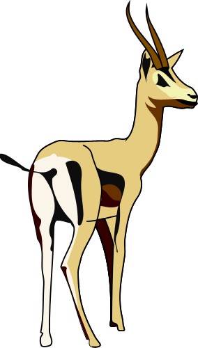 Gazelle; Animal, Wildlife, Expressions, Computer, Software, Gazelle