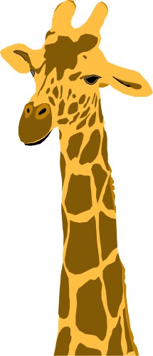 Portrait of a giraffe; Animals