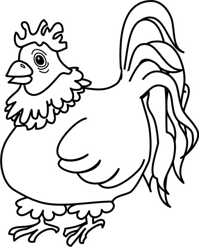 Hen outline; Chicken