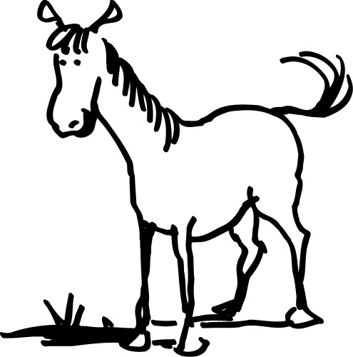 Horse; Animal, Domestic, Farm