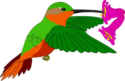 Hummingbird; Bird, World, Totem, Graphics, Hummingbird