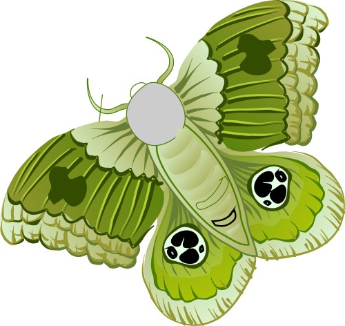 Moth; Insect, Flying, Butterfly, Eyes, Antennae, Wings, Caterpillars