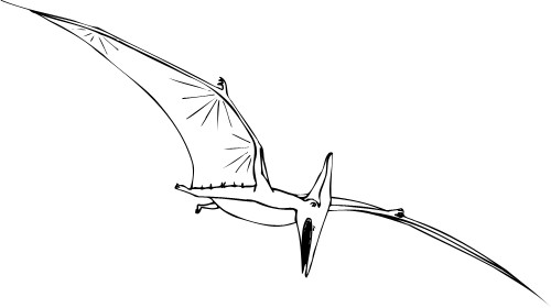 Pterosaur; Air, Flying, Dinosaur, Outline