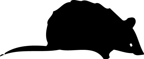 Rat; Animal, Rodent, Silhouette