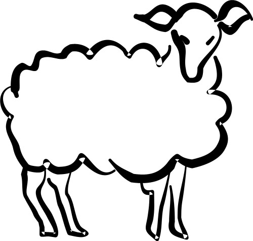 Sheep; Animal, Farm, Domestic