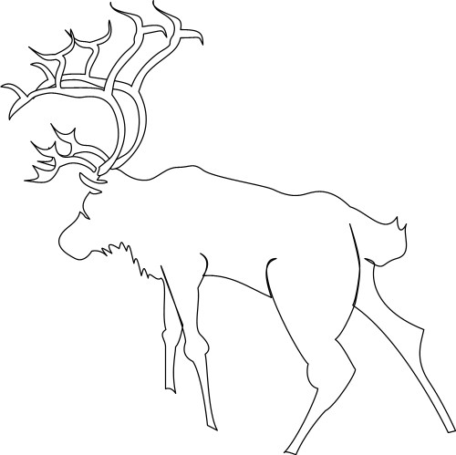 Stag; Animal