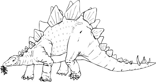 Stegosaurus; Herbivore, Dinosaur, Outline