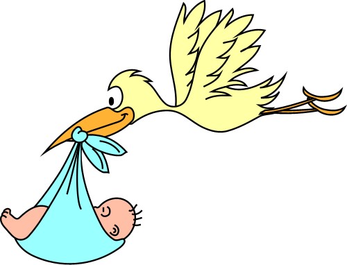 Animals: Stork and Baby