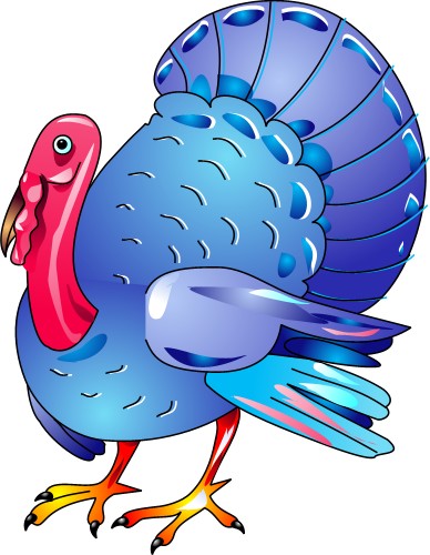 Fat turkey; Turkey, Farm, Flightless