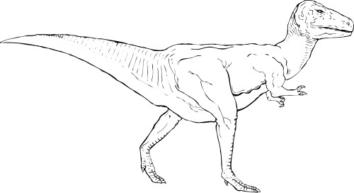 Animals: Tyrannosaurus Rex
