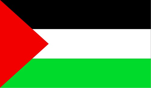 Palestine; Flag