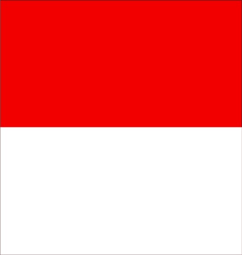 Solothurn; Flag
