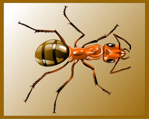 Red ant; Corel Xara
