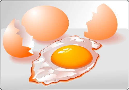 Some raw and cooked eggs; Corel Xara
