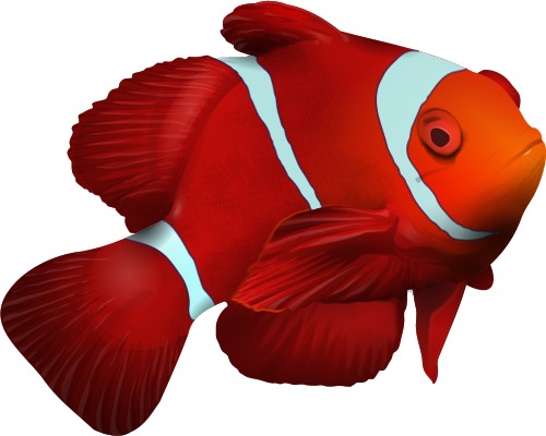 Corel Xara: Fish