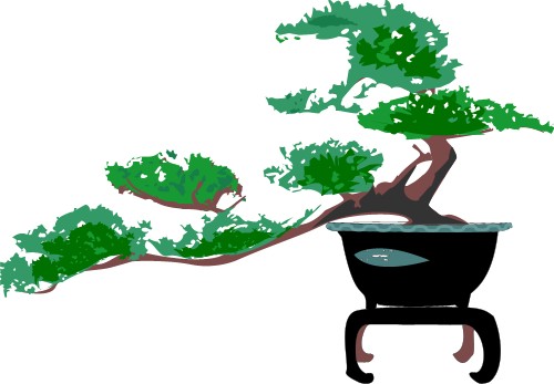Japanese Bonsai Tree; Asia, Plant, Matsuri, Graphics, Japanese, Bonsai, Tree