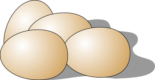 Egg; Chicken, Shell, Food