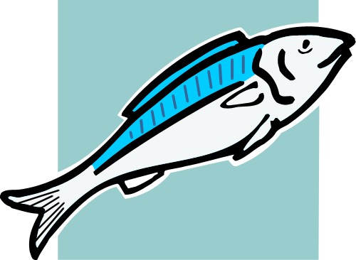 Whole fish; Fish, Design