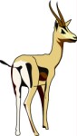 Gazelle, Animals