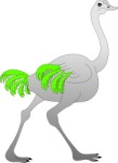 Ostrich running, Animals