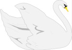 Male swan, Animals