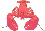 Lobster, Crustace