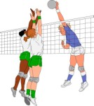 Женщины, играющие в волейбол, Спорт, просмотров: 5096